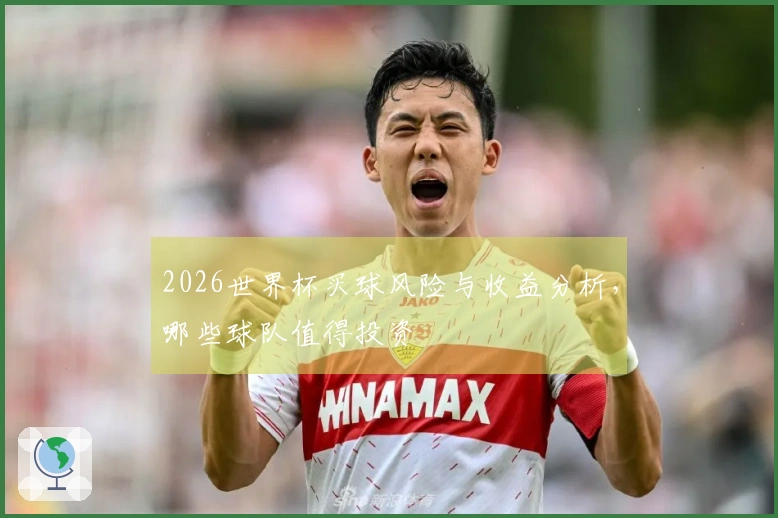 2026世界杯买球风险与收益分析，哪些球队值得投资