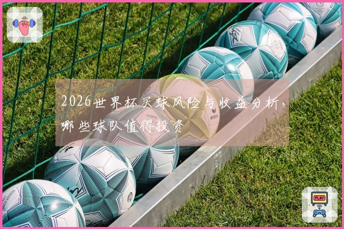 2026世界杯买球风险与收益分析，哪些球队值得投资