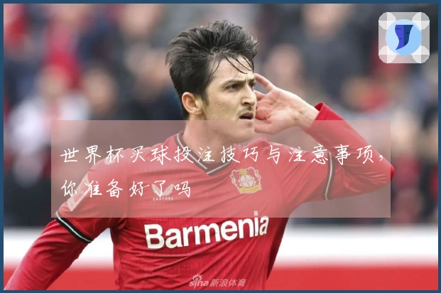 世界杯买球投注技巧与注意事项，你准备好了吗