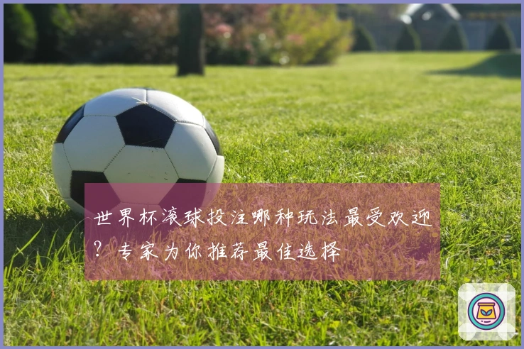 世界杯滚球投注哪种玩法最受欢迎？专家为你推荐最佳选择