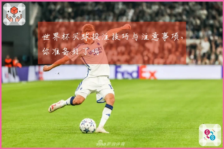 世界杯买球投注技巧与注意事项，你准备好了吗
