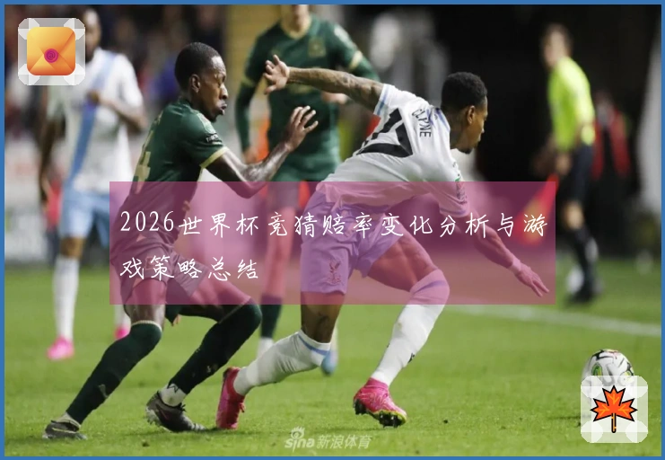 2026世界杯竞猜赔率变化分析与游戏策略总结