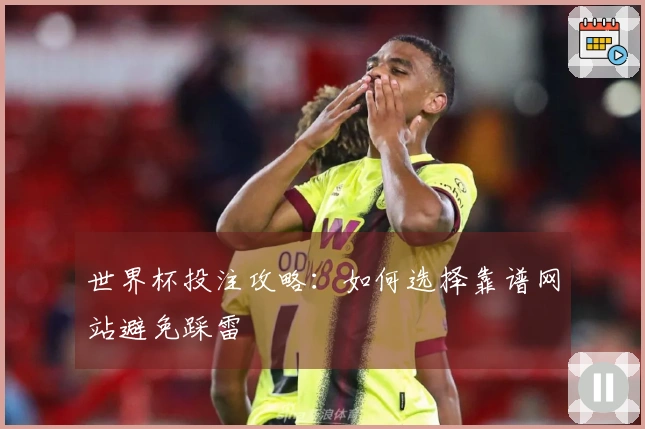 世界杯投注攻略：如何选择靠谱网站避免踩雷