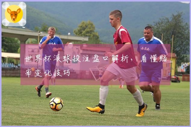 世界杯滚球投注盘口解析，看懂赔率变化技巧