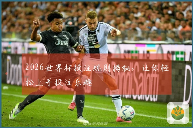 2026世界杯投注规则揭秘，让你轻松上手投注乐趣