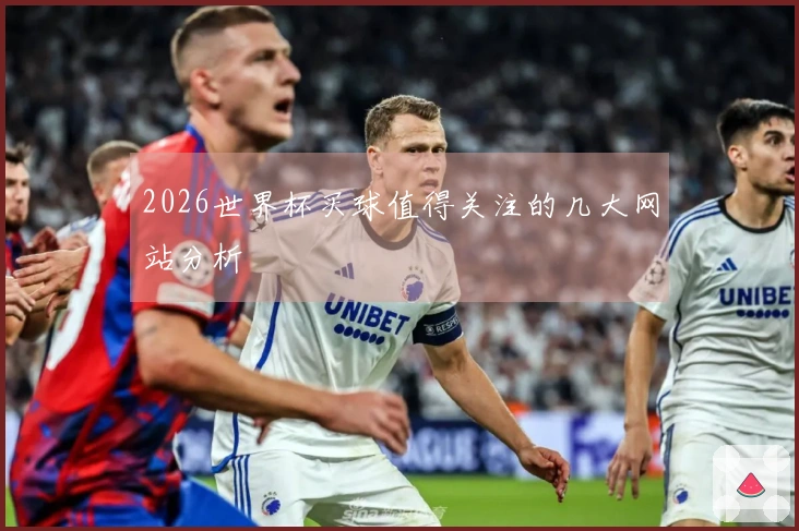 2026世界杯买球值得关注的几大网站分析