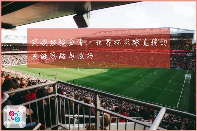 实战经验分享：世界杯买球竞猜的关键思路与技巧