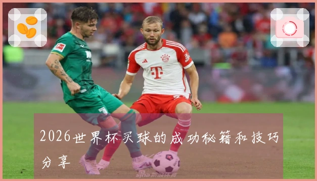 2026世界杯买球的成功秘籍和技巧分享